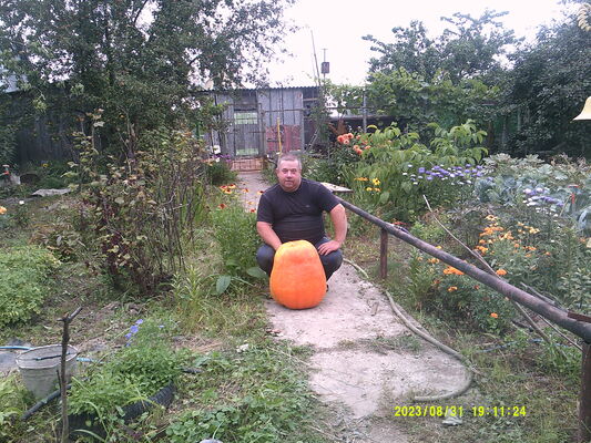  ,   , 46 ,   c 