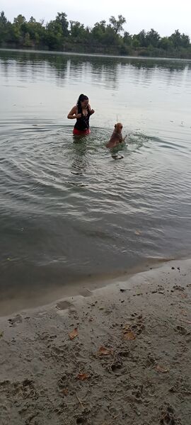  -,   , 34 ,   ,   