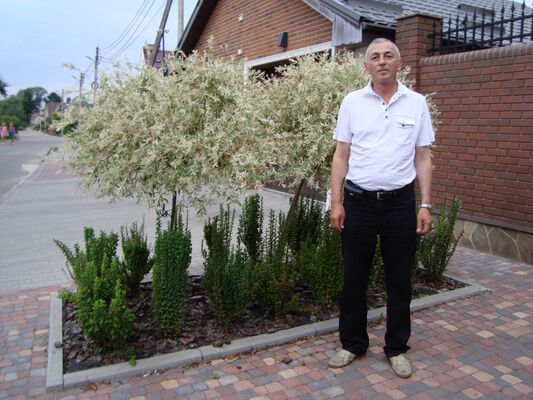  ,   , 65 ,   