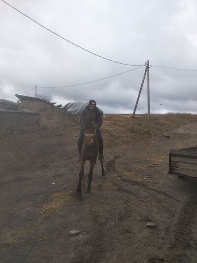   ,   Alexander, 55 ,   ,   , c , 