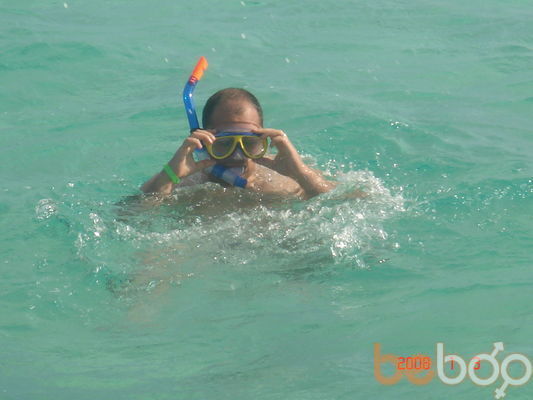 ���������� ������, ���� ������� Tom, 48 ���, ������������ ��� ������