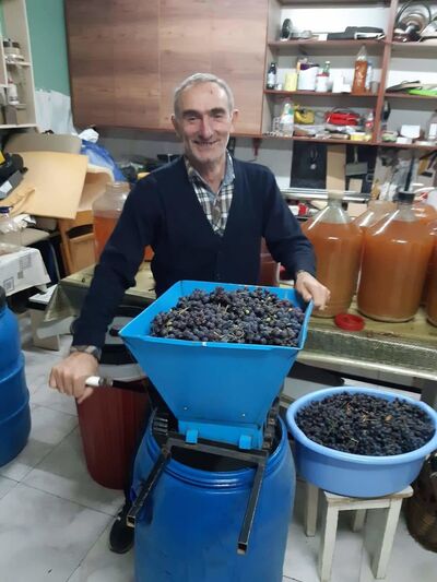  ,   Goga, 56 ,   ,   , c 