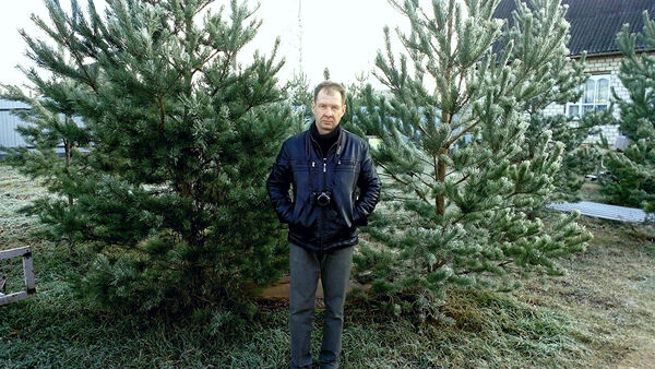  ,   , 50 ,   ,   , c 