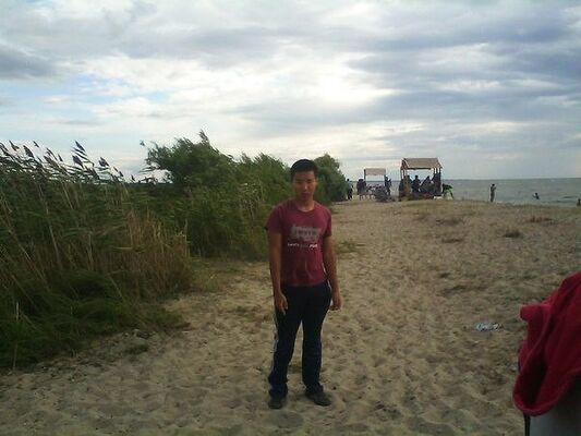  -,    , 29 ,   