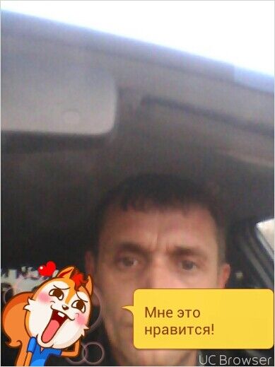  7981902  , 49 ,     