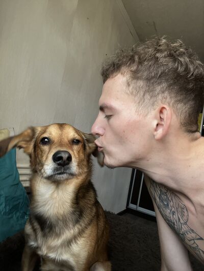  ,   , 21 ,     , c , 