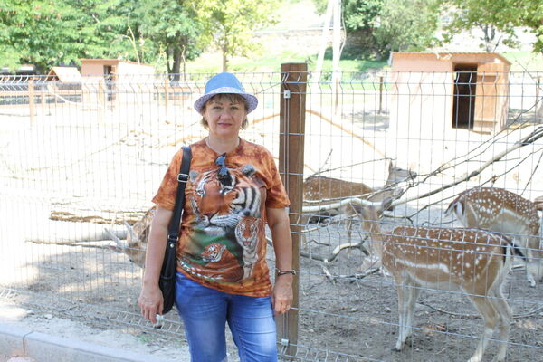  ,   , 59 ,   ,   , c 