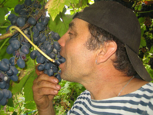  -,   Sergey, 61 ,   
