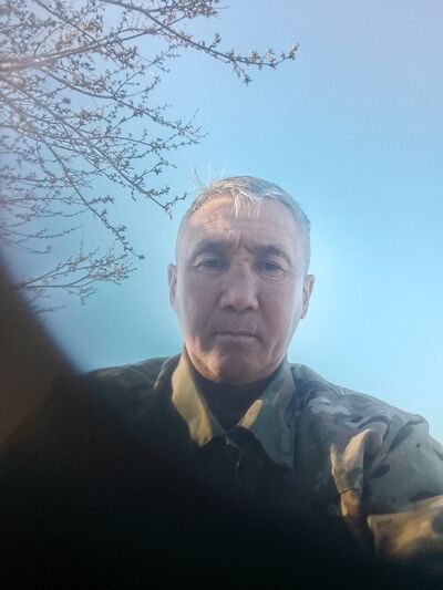  Novy,   , 50 ,   ,   