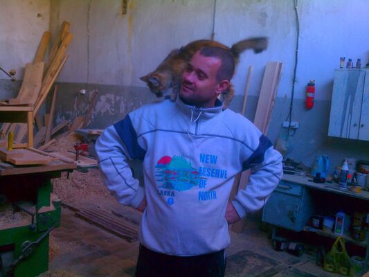  ,   , 43 ,   ,   , c , 