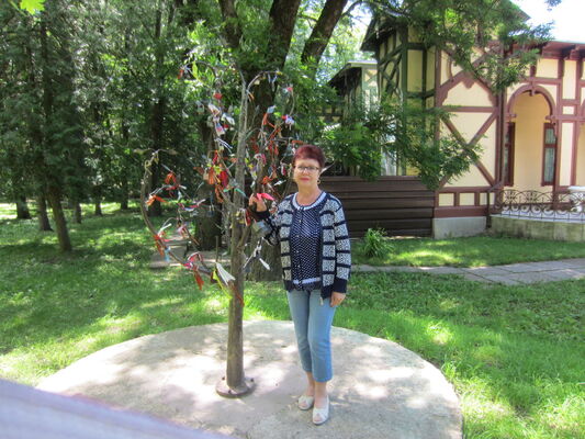   ,   , 62 ,  