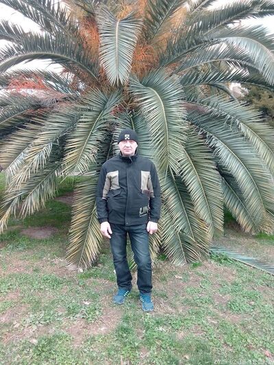  -,    , 44 ,   ,   