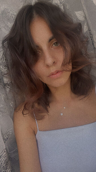  -,   , 28 ,     , c , 