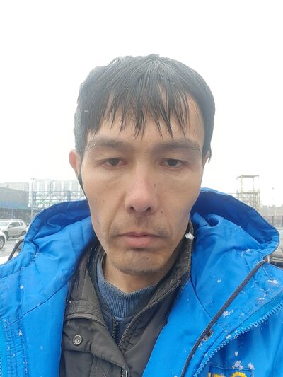  -,   , 41 ,   ,   