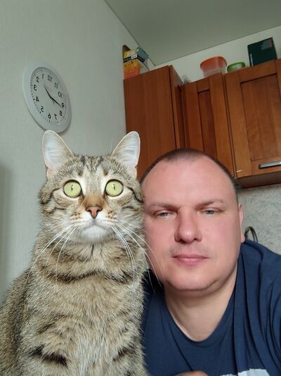  -,   , 46 ,   ,   , c 