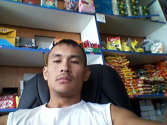  ,   Gans, 38 ,   