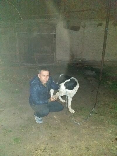  ,   , 41 ,   ,   , c 
