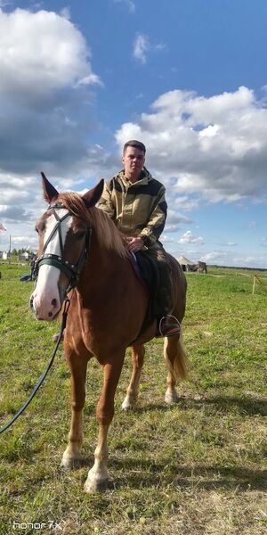  ,   Dmitry, 33 ,   ,   , c , 