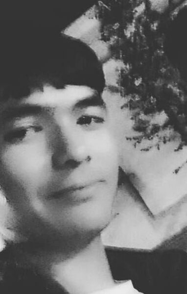  Horni Pocernice,   , 22 ,   ,   , c 