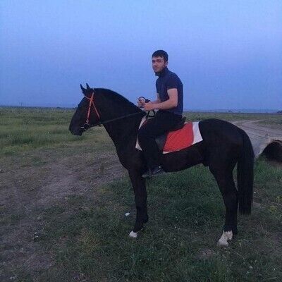  ,   Murat, 31 ,   ,   , c 
