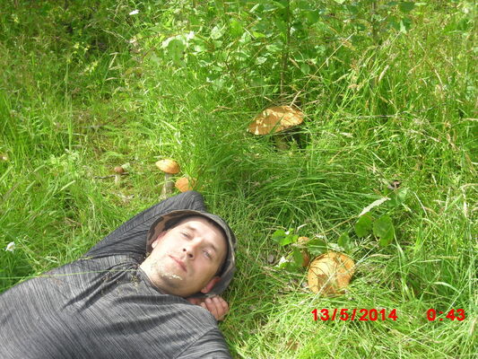  ,   , 44 ,   