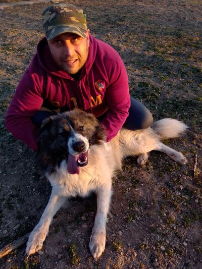  Shipka,   , 38 ,   ,   , c 