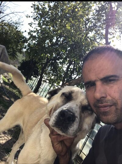  ,   Erdal, 43 ,   ,   