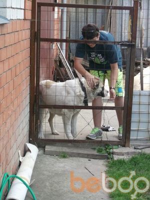 ���������� ������, ���� ������� ������, 37 ���, ������������ ��� ������, ����� � ���������, c�������� ���������