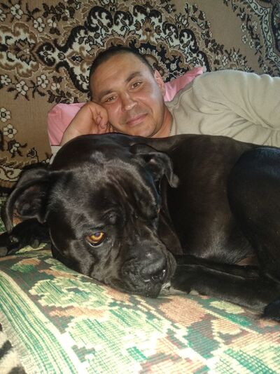  ,   Dimon, 42 ,   ,   , c 