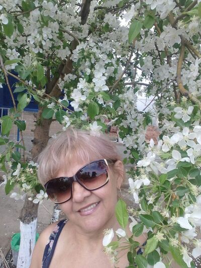  ,   , 53 ,   ,   