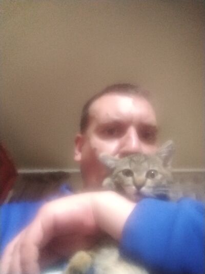  ,   , 41 ,   ,   , c 