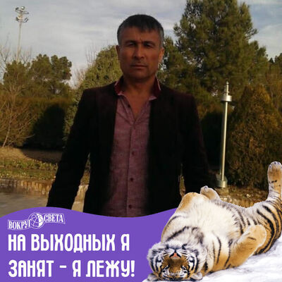  ,   , 51 ,   ,   , c , 