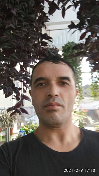  ,   , 46 ,   ,   , c , 