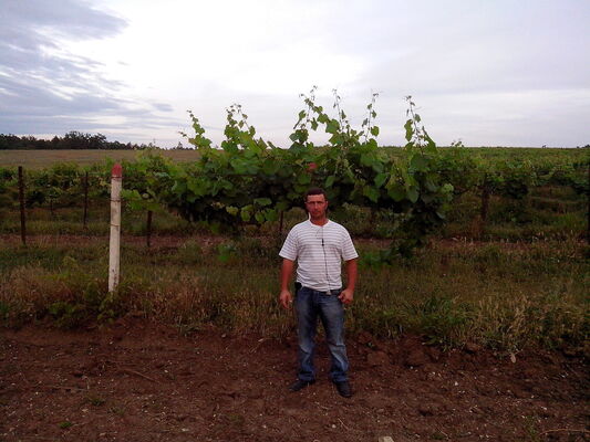  ,   Oleg, 46 ,   ,   , c 