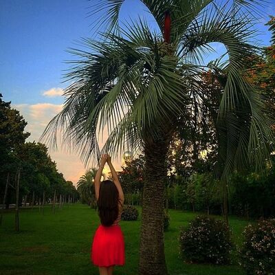  San Lorenzo Almecatla,   , 30 ,   ,   , c 