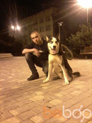 ���������� ����, ���� ������� 994556424867, 31 ���, ������������ ��� ���������