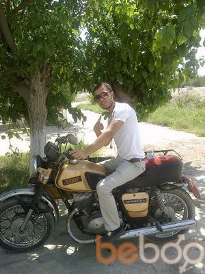  ,   Akosh_8686, 38 ,     , c , 