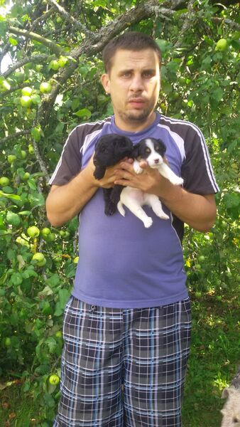  ,   , 42 ,   ,   , c 