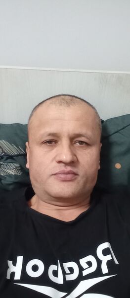  Werda,   , 43 ,   ,   