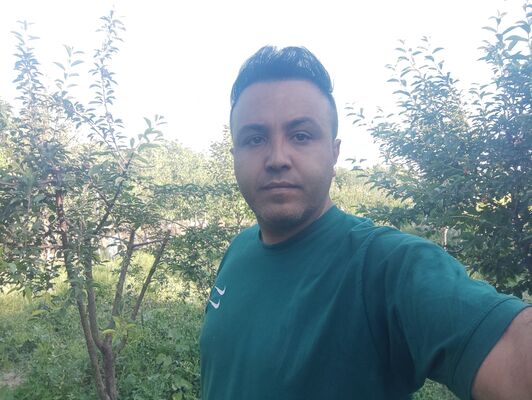  Nuernberg,   Alireza, 36 ,   ,   