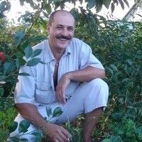  ,   , 62 ,  