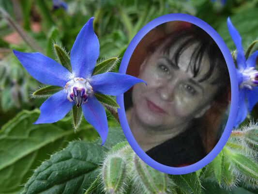  ,   , 61 ,     , c 