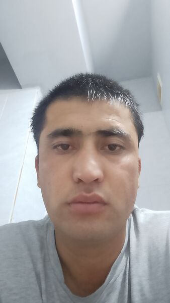  ,   Mardan, 31 ,     , c 