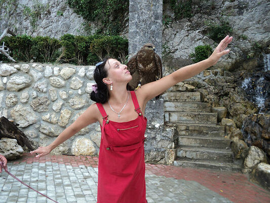  ,   , 47 ,   ,   , c 