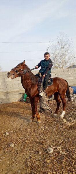  ,   Nasimjon, 30 ,   ,   