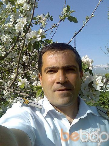  ,   Arsen, 49 ,   