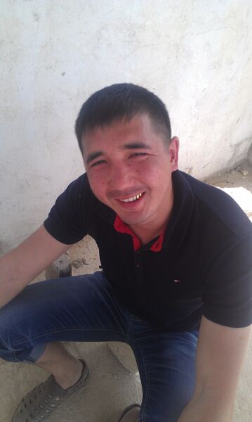  ,   Skorpion, 41 ,   