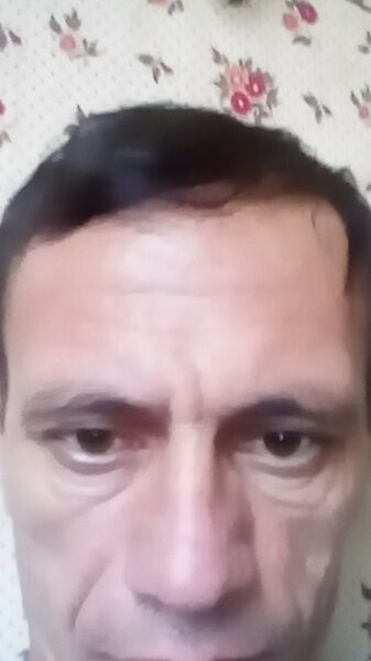  ,   Ulmas, 49 ,   ,   , c 