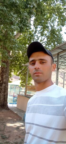  -,   , 33 ,   ,   , c 