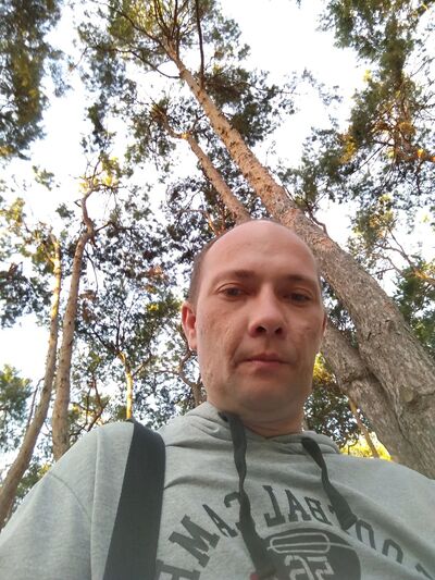  ,   , 44 ,  